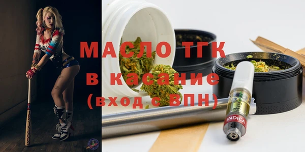 мдпв Каменногорск