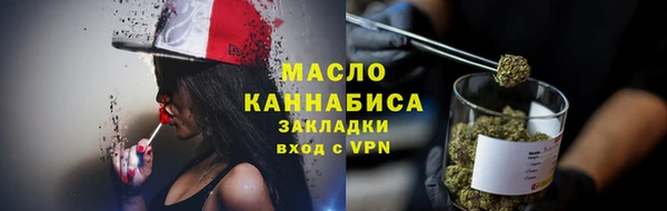 мдпв Каменногорск