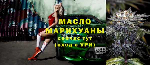 мдпв Каменногорск