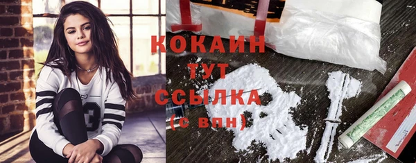 мдпв Каменногорск