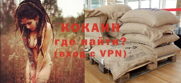мдпв Каменногорск