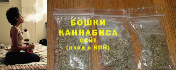 мдпв Каменногорск