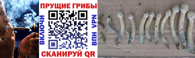 Галлюциногенные грибы MAGIC MUSHROOMS  ОМГ ОМГ ONION  Уфа 